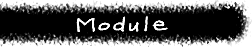 Module